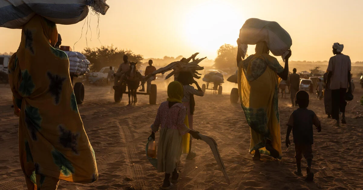 Forced displacement to reach 139M by end-2025, warns UNHCR