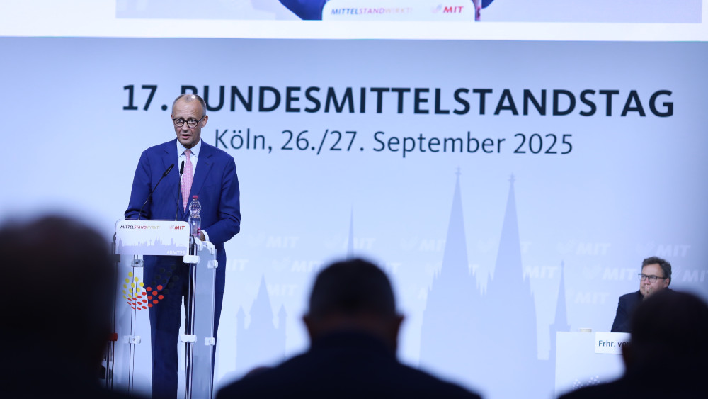 Germany's Merz vows to take on ascendant far-right AfD