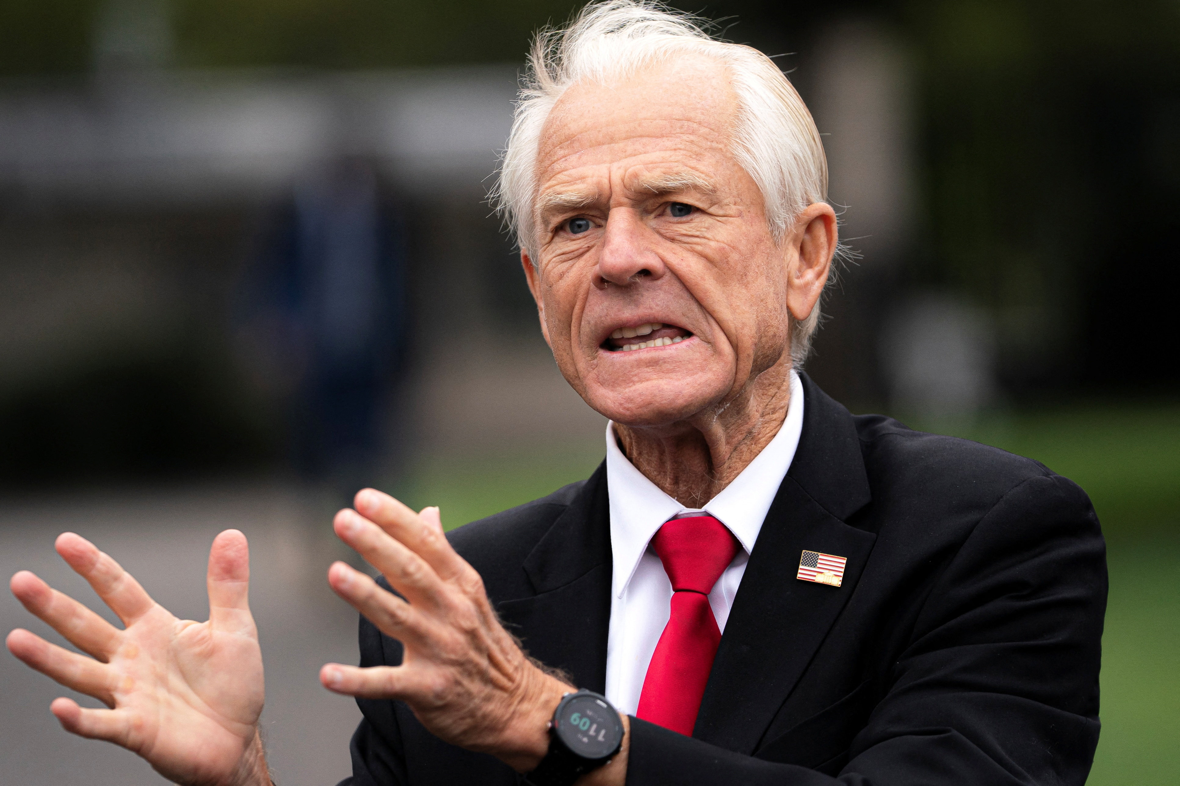 Peter Navarro speaking