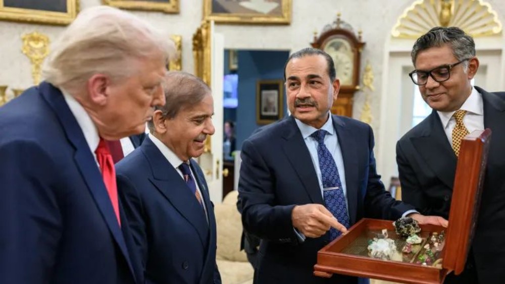 Critical minerals big part of US-Pakistan partnership