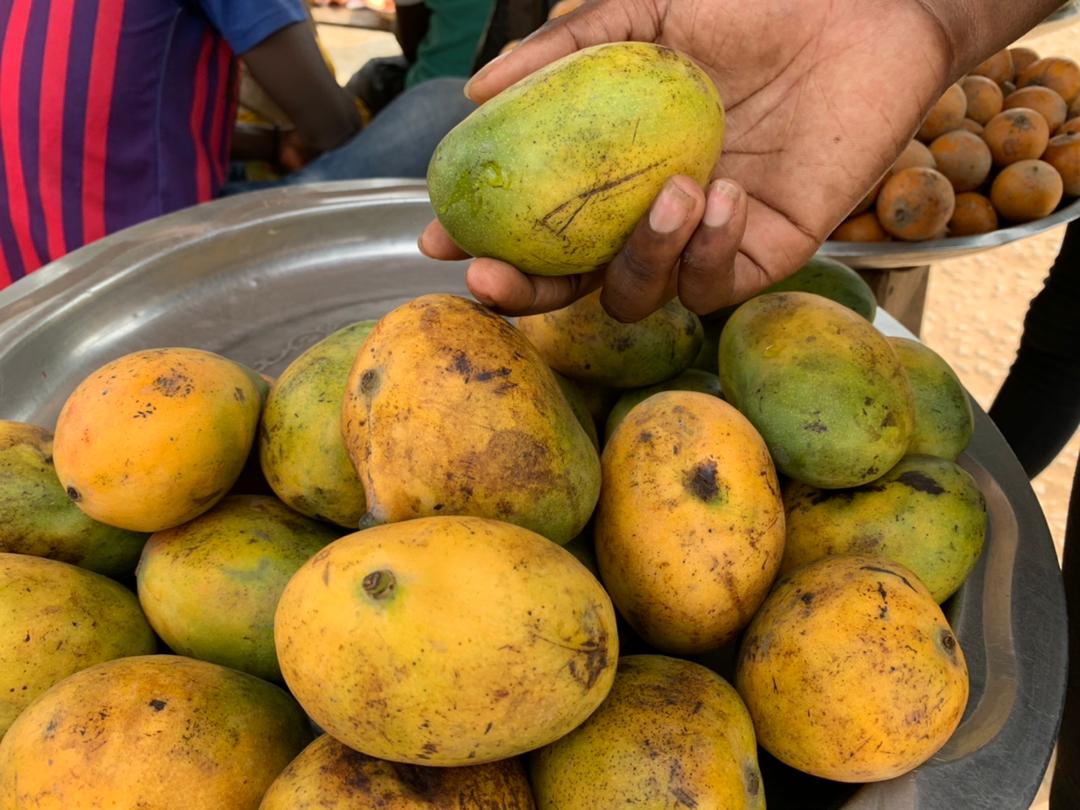 Mangoes (File photo: Wikimedia Commons)