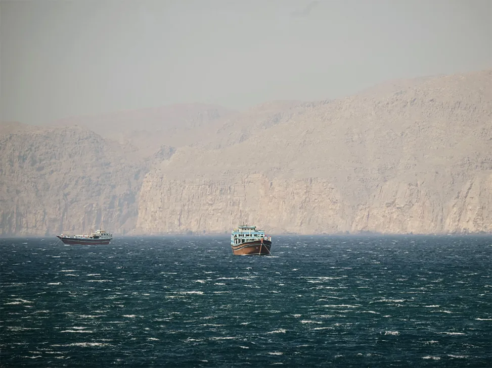 Iran let Turkish-owned ship cross Hormuz strait: minister