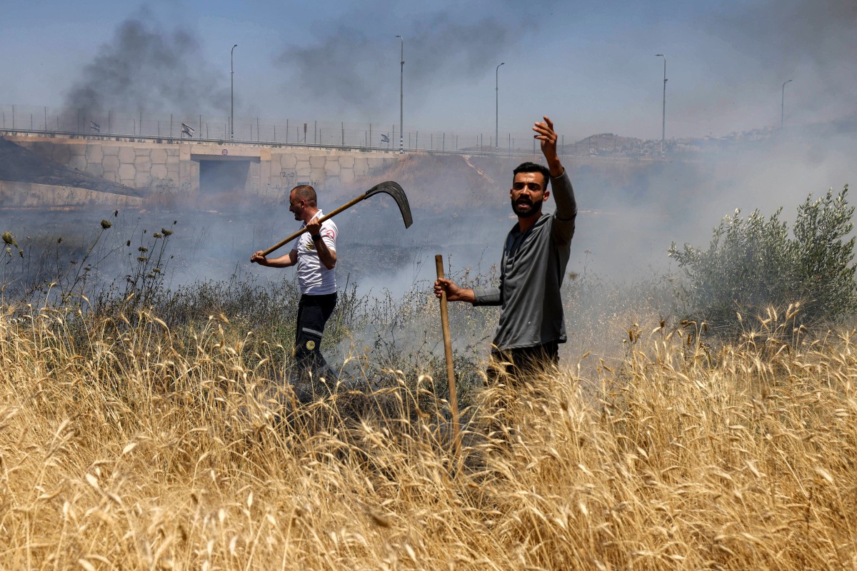 Facing settler violence, Palestinian farmers race to harvest