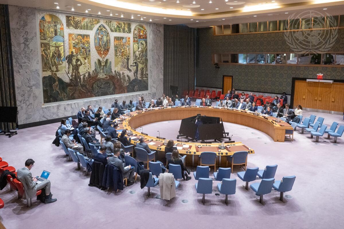 A wide view of the Security Council meeting that heard briefings by Chairs of subsidiary bodies of the Security Council (UN Photo/Eskinder Debebe)