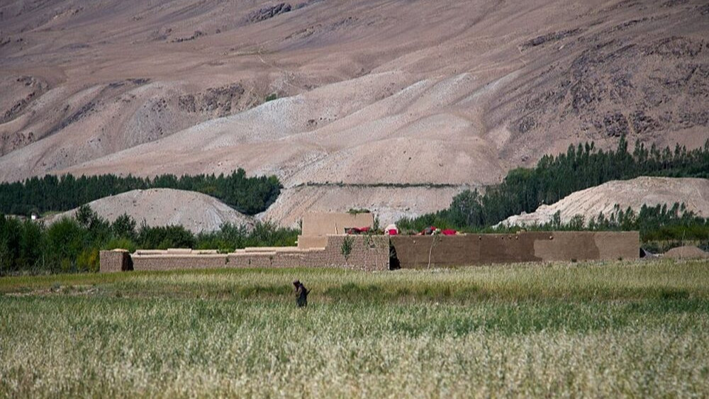 Taliban's grip in northern Afghanistan fractures as rebels claim major territorial wins