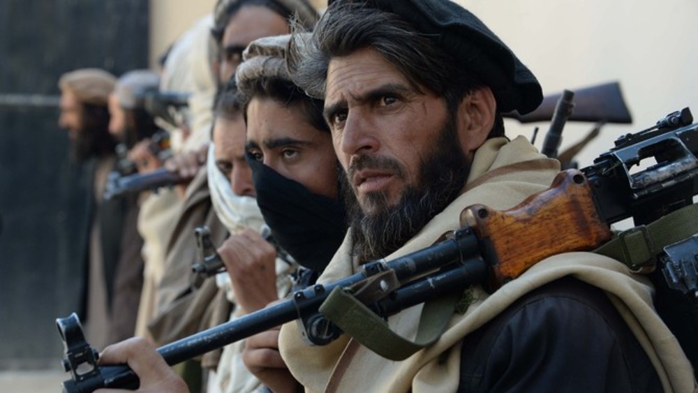 Taliban detain six rights group staffers amid wider crackdown