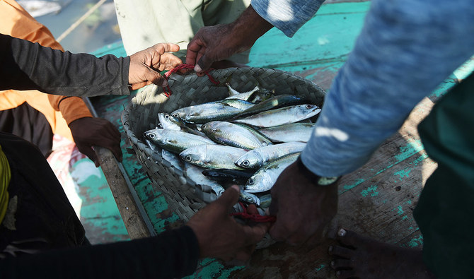 Pakistan launches fishing museum and app to boost sustainable fisheries