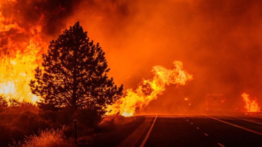 More than 40,000 evacuate as wildfire nears Reno in western US