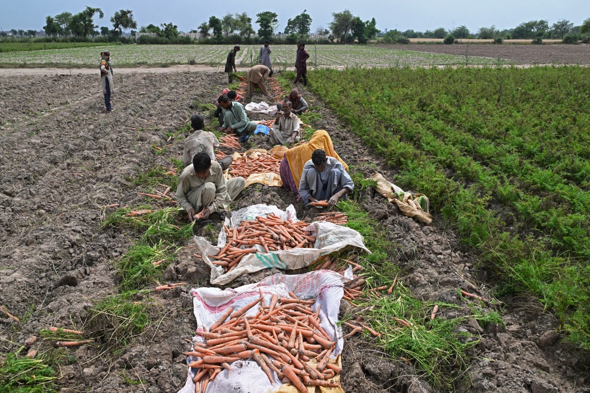 Asia faces ‘super El Nino’ risk as conflict strains energy, food supplies