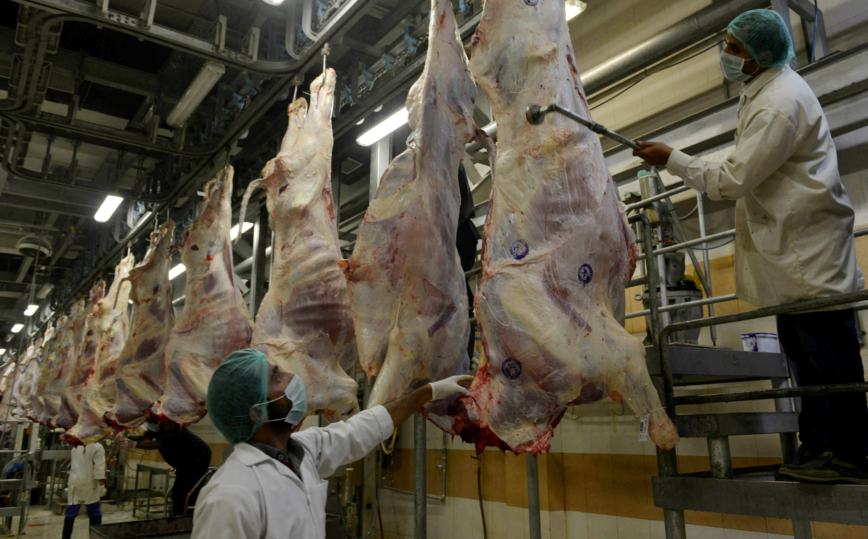 Pakistan targets global halal market with reforms to boost meat exports