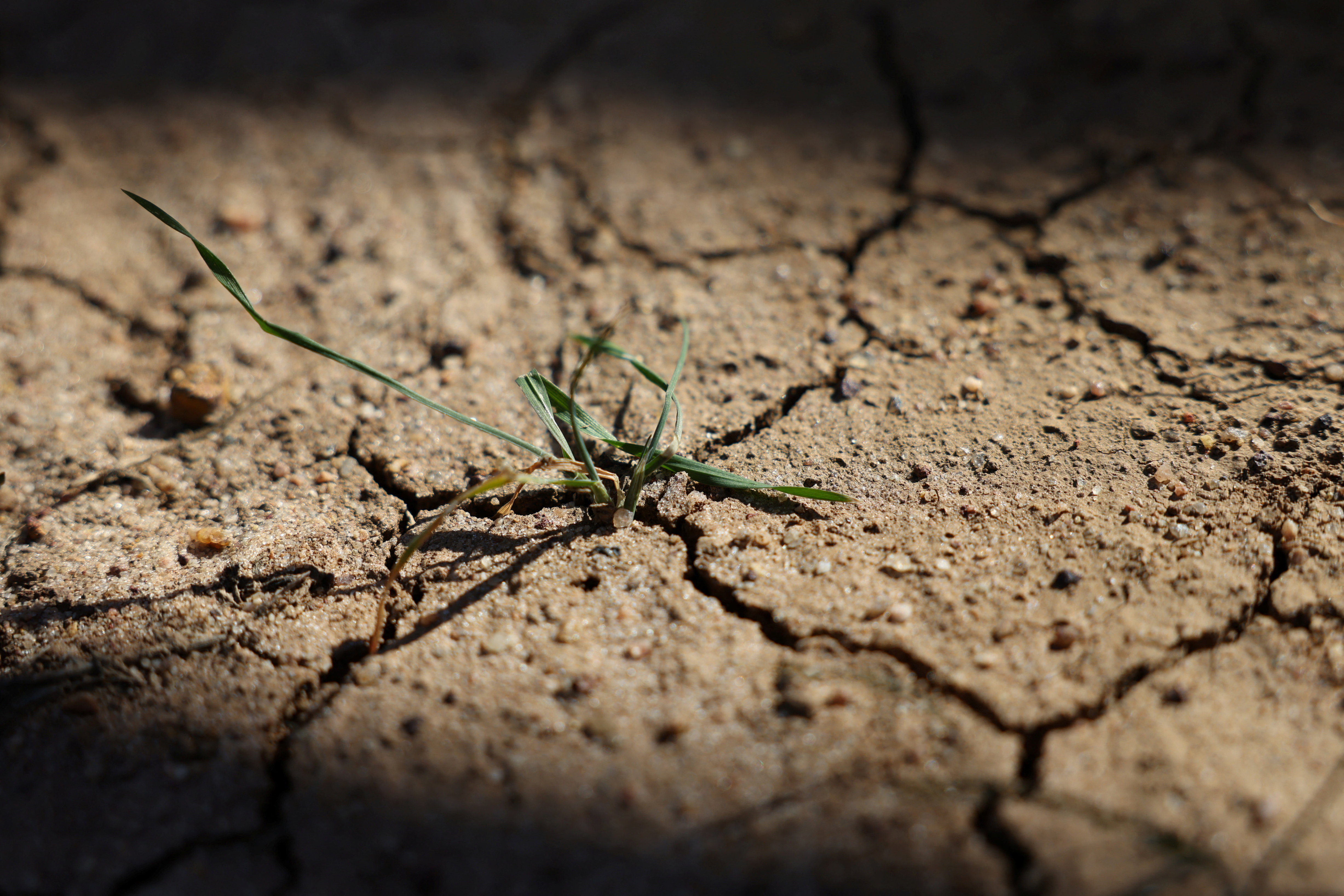 Estimated 16,500 climate change deaths during Europe summer: study