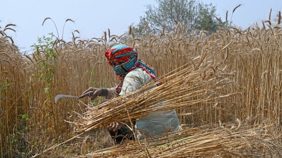 IFC, Engro launch Pakistan’s first local-currency investment