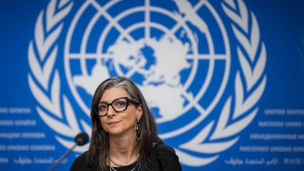 Top entertainment figures back under-fire UN Palestinians expert 