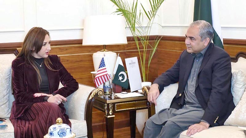 Pakistan’s interior minister, acting US envoy discuss security for Islamabad Talks