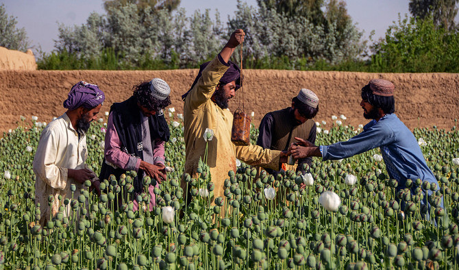 Afghanistan remains top global heroin supplier: Turkish police report