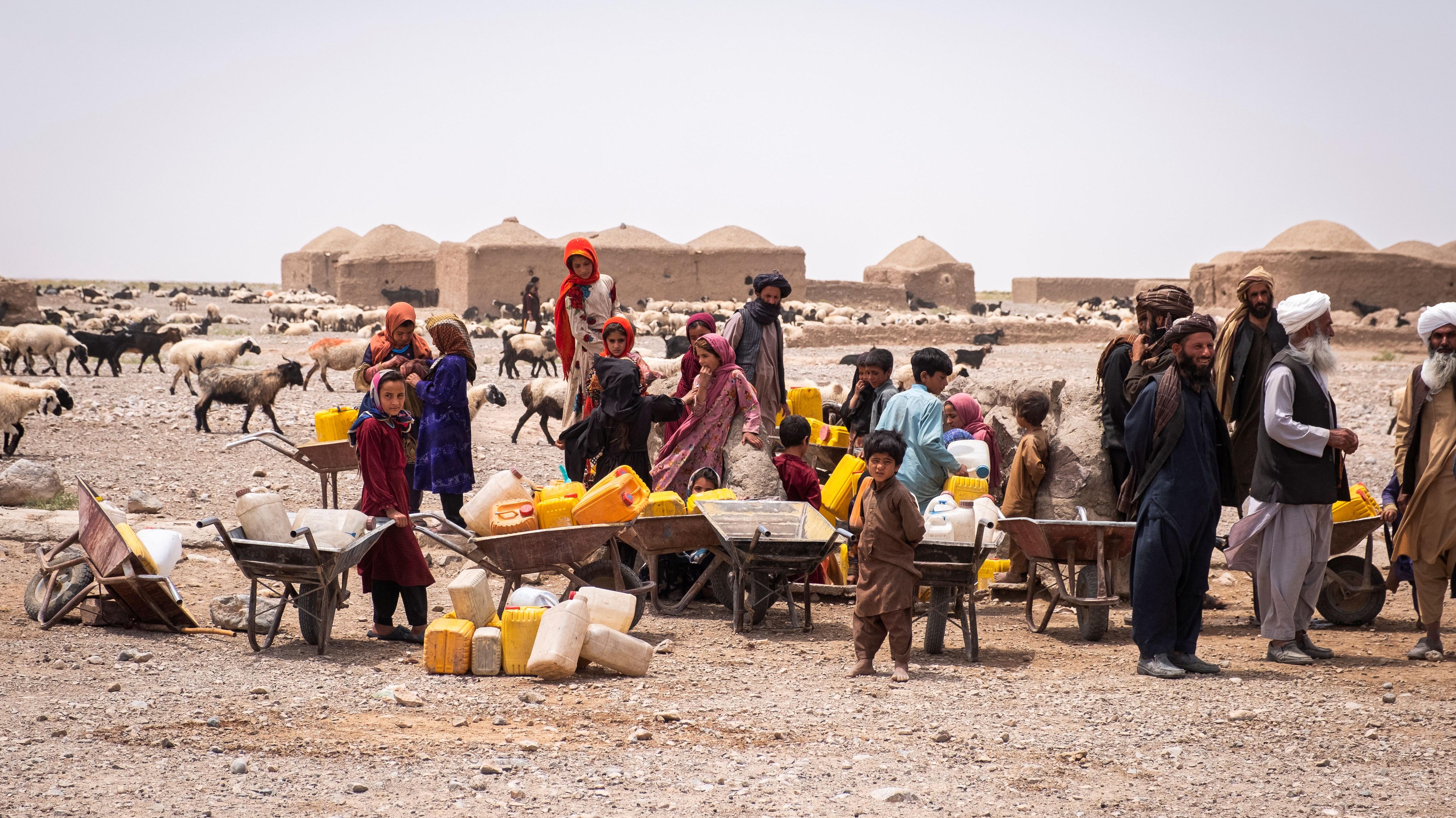 Afghanistan faces escalating climate crisis as communities mark World Environment Day: UNAMA