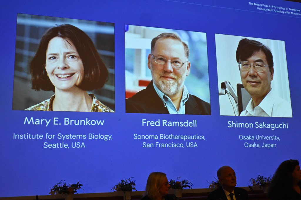 The Nobel Prize in medicine awarded to 3 scientists working on immune systems