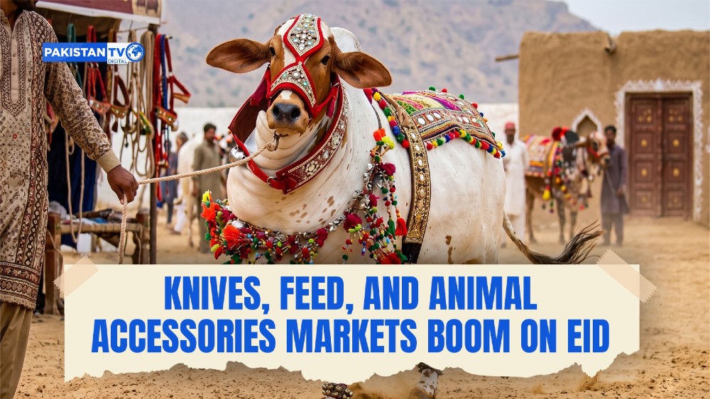 Animal accessories, blades, feed sales surge as Pakistan's $3 billion Eid Al-Adha economy kicks in