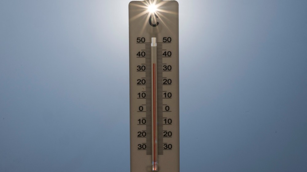 Germany logged 14,000 heat-related deaths this summer: govt data