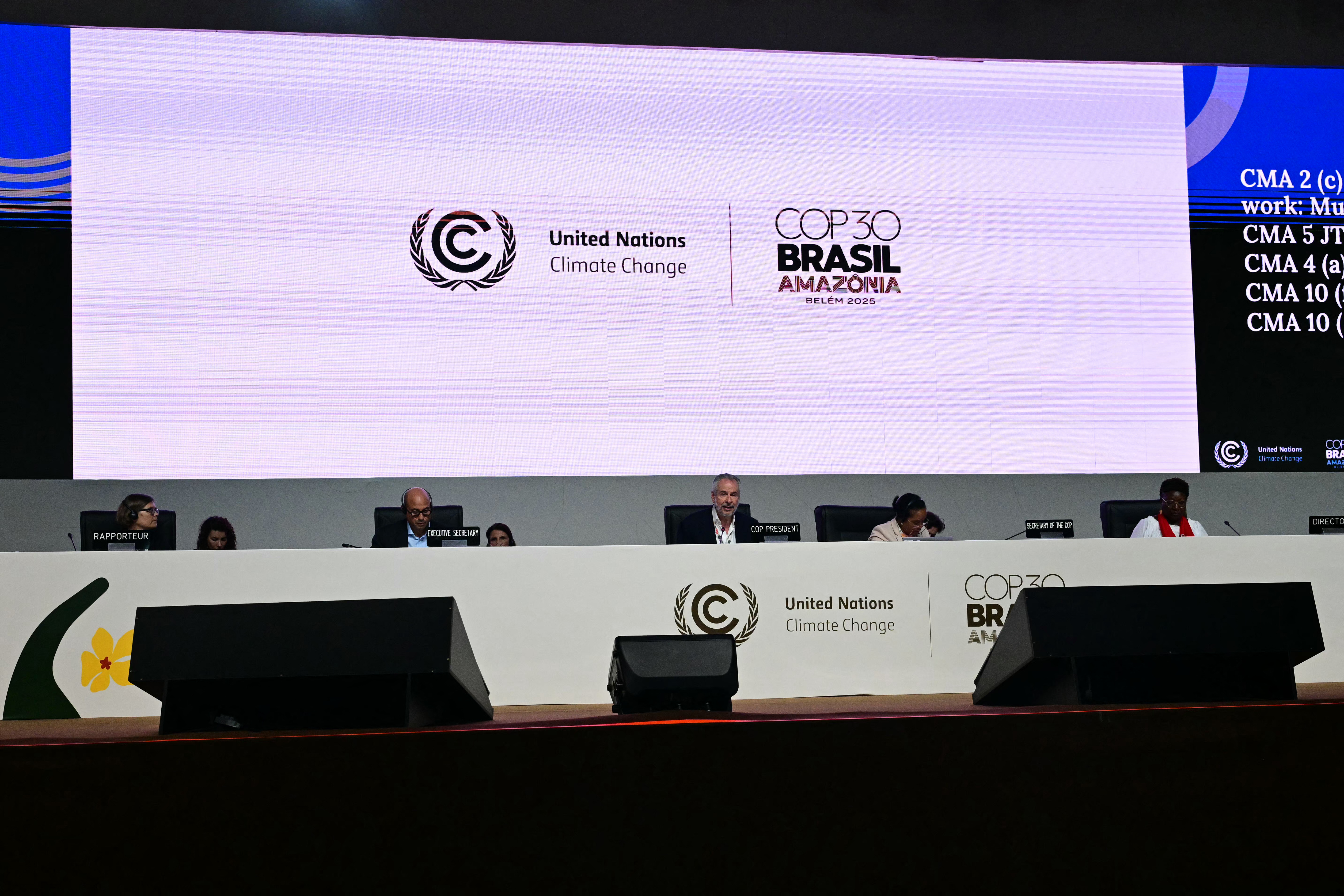 COP30: Pakistan calls for grant-based climate finance for vulnerable nations