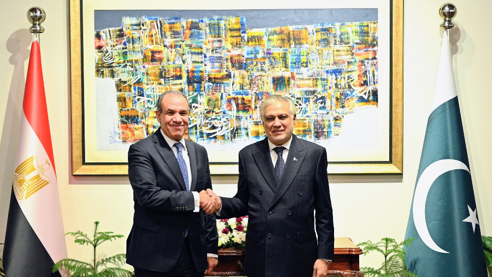  Pakistan-Egypt FMs reiterate support for peace initiatives