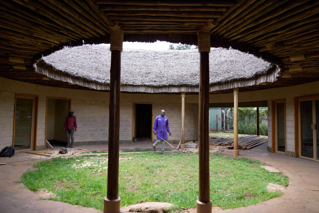 Building with mushrooms: A sustainable answer to Kenya’s housing crisis