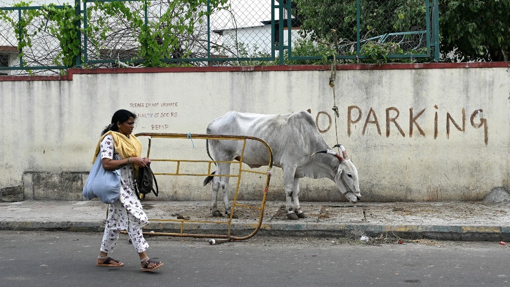 India's choked pavements fail pedestrians