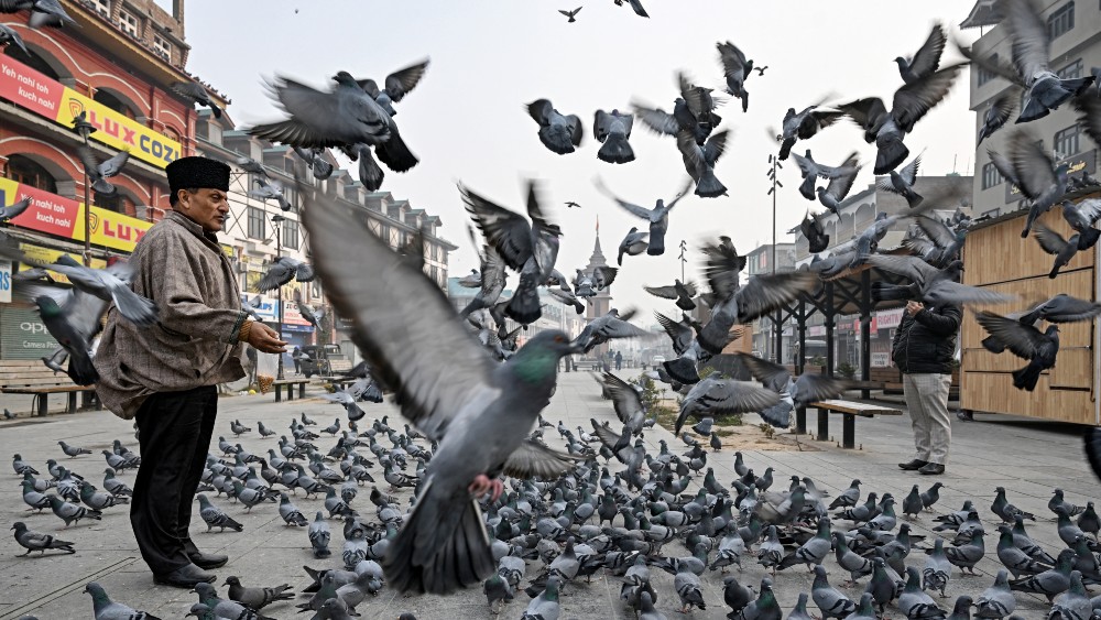 Delhi blast case: Raids conducted across Indian Occupied Kashmir