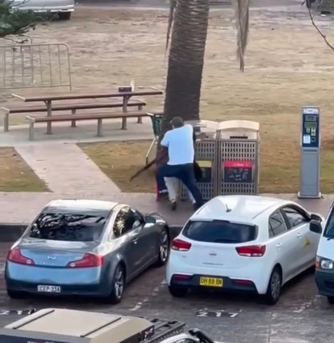 Who is Ahmed al Ahmed, man who disarmed Sydney gunman