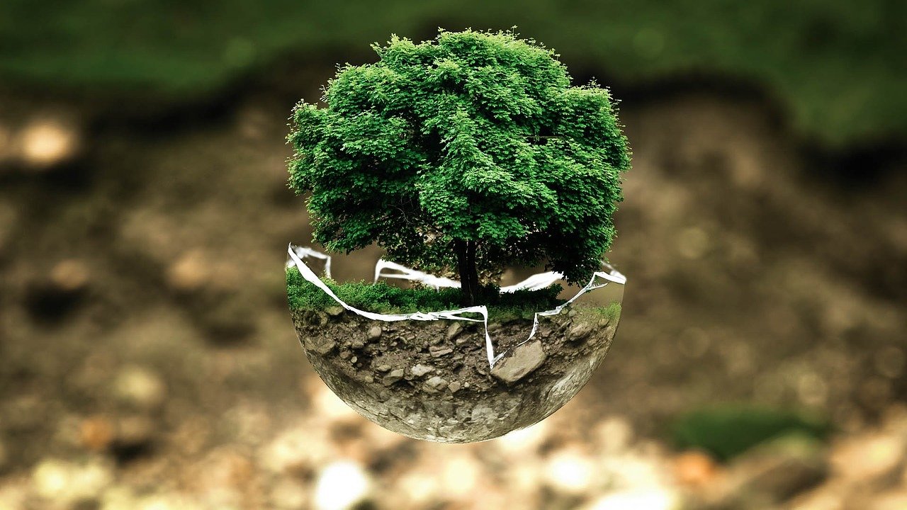 Govt to empower youth-led climate innovation through Green University initiative: Minister 