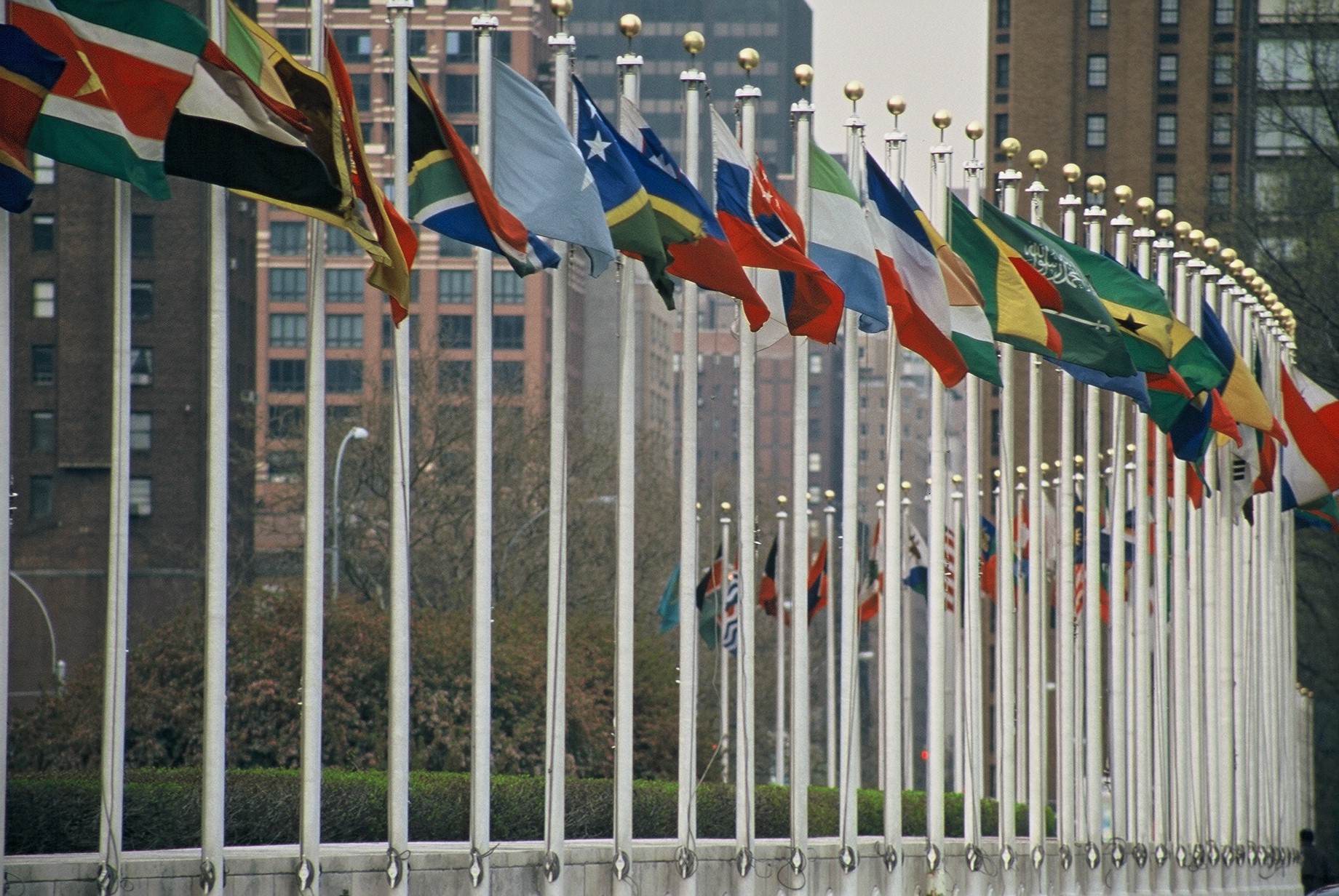 UN members flags