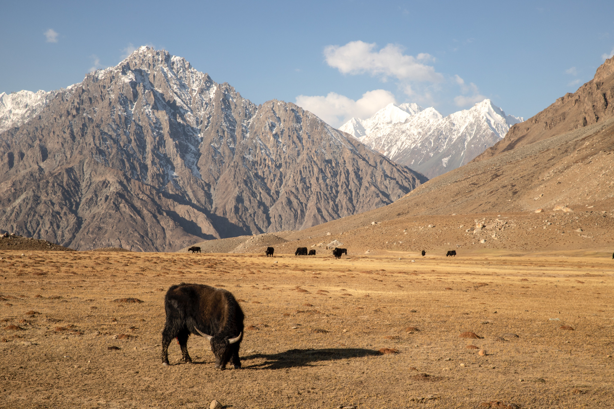 Higher temperatures to affect Pakistan's water supplies, threaten food security: climate minister