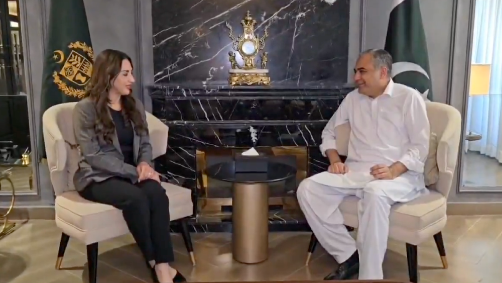 Pakistan Interior Minister, US Charge d'Affaires discuss peace efforts