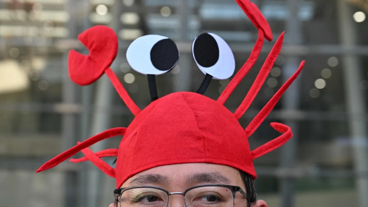 OpenClaw creator says new tool shows rise of everyday AI assistants