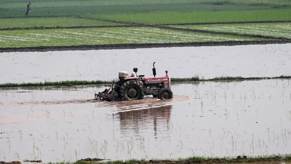 Pakistan urged to boost water efficiency amid global drying trends