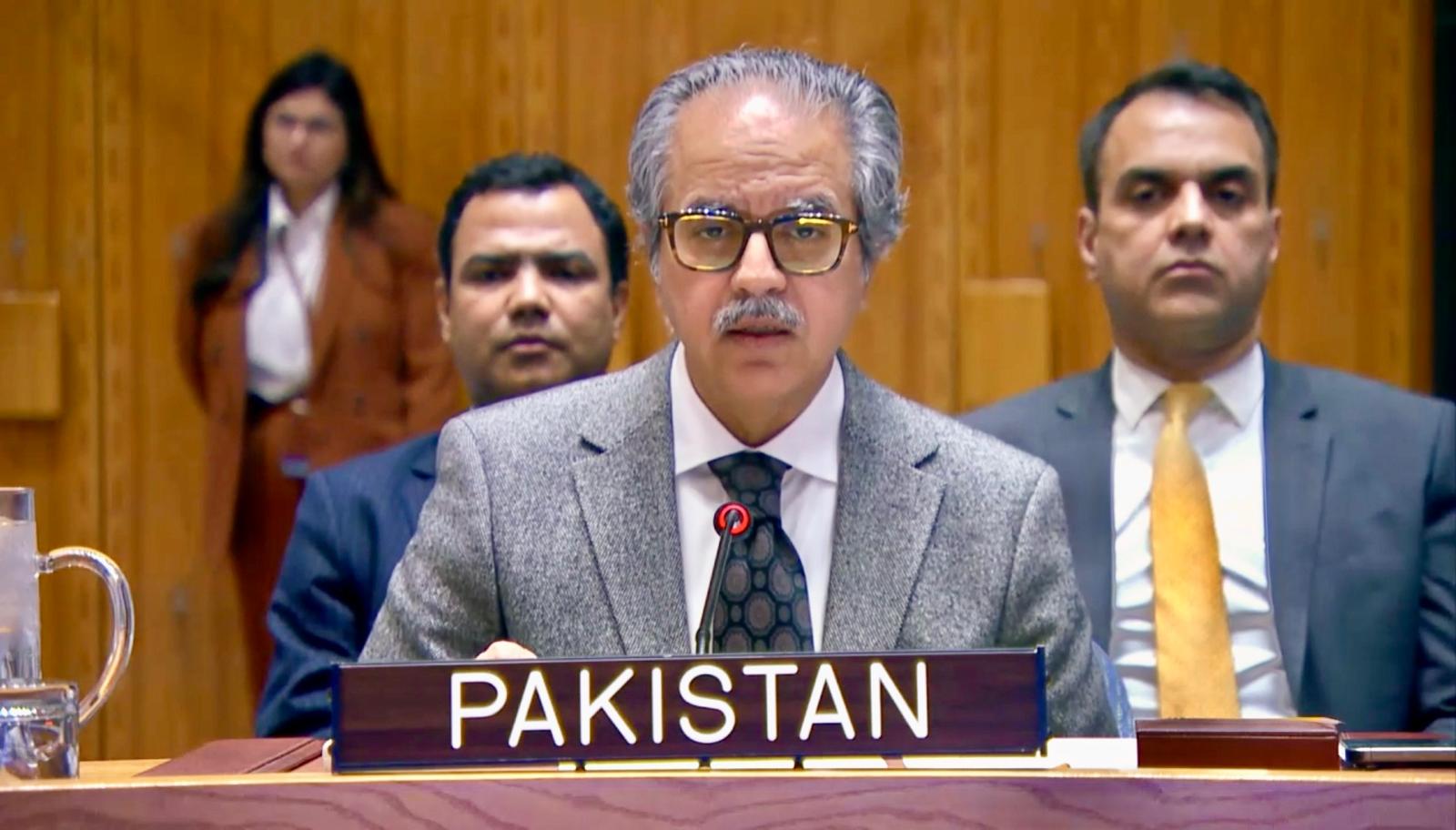 Pakistan calls economic track 'central' to Libya peace at UN briefing